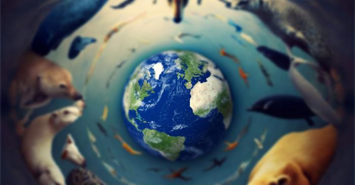 Americanii se confruntă cu o nouă realitate climatică: ierni fără zăpadă, râuri secate și o natură tot mai tăcută