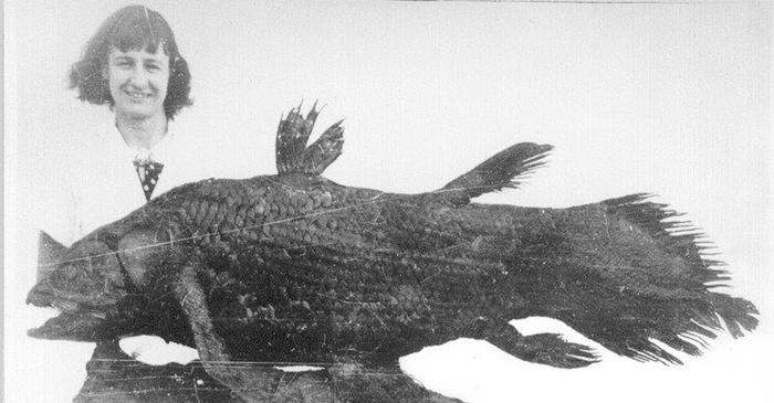 Ce specie crezută dispărută odată cu dinozaurii trăiește și astăzi?