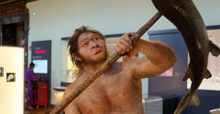 Homo erectus putea să vorbească acum două milioane de ani