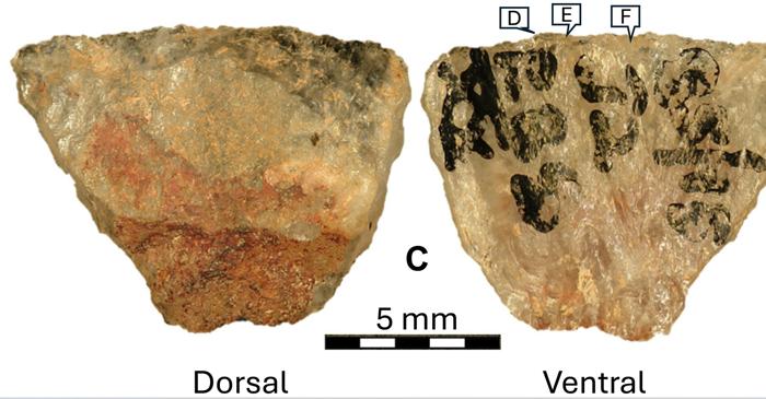 Săgețile otrăvite au fost folosite în Africa de Sud acum 60.000 de ani