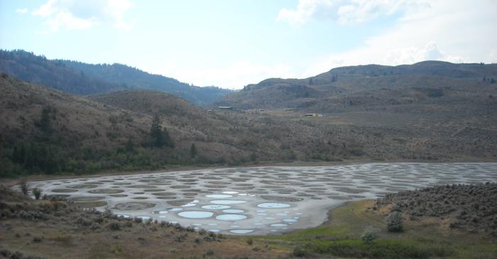Un lac din Canada formează cercuri colorate ca o dantelă uriașă din minerale cristalizate