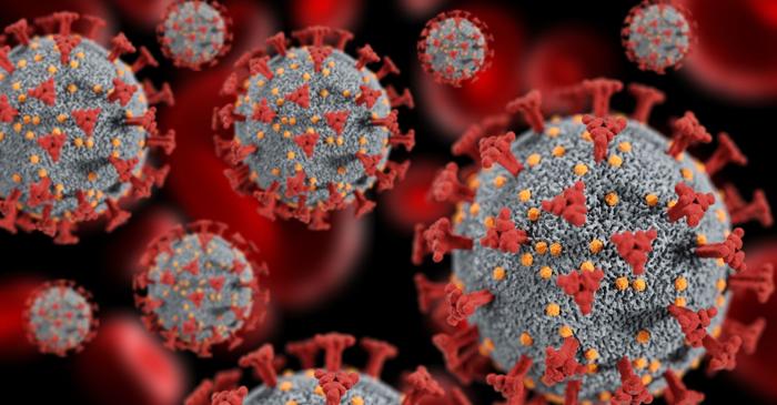 Cel mai vechi virus ARN uman a fost reconstruit dintr-un specimen medical de acum 250 de ani