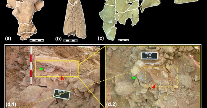 De ce aduceau neanderthalienii doar cranii cu coarne într-o peșteră din Spania?