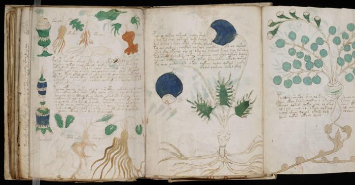 Manuscrisul Voynich ar putea fi un cifru medieval, nu o limbă pierdută