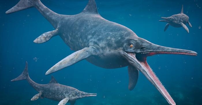 O nouă specie de reptilă marină a fost identificată în Marea Britanie pentru prima dată în peste 100 de ani