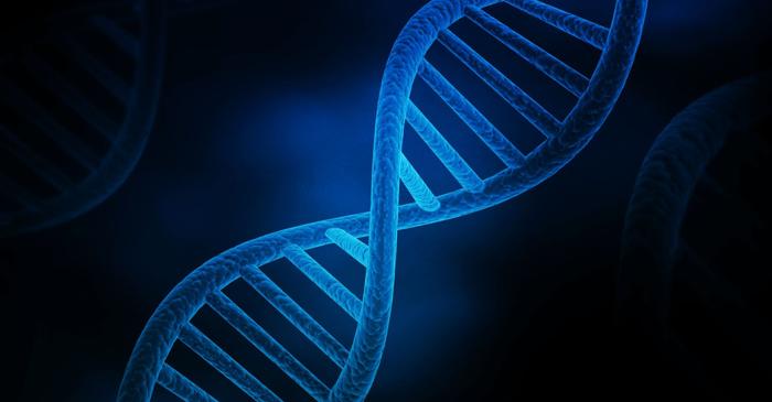 Proteinele blocate pe ADN activează îmbătrânirea prematură prin inflamația cronică