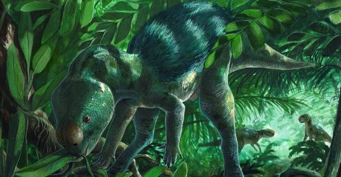 Un nou dinozaur pitic descoperit în Spania avea un craniu surprinzător de complex