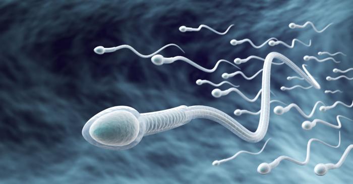 De ce abstinența prelungită dăunează fertilității masculine?