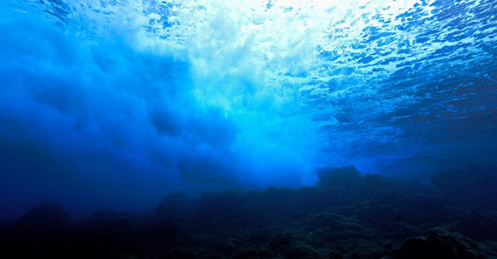 O combinație rară de forțe tectonice și magmă a creat Marele Canion al Atlanticului