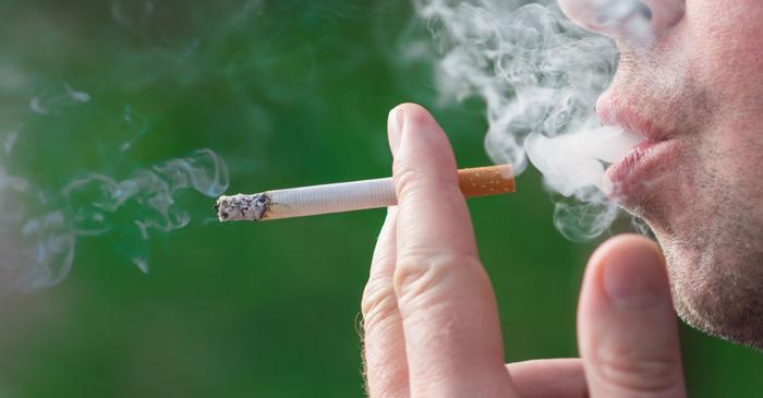 Canabisul și tutunul reduc volumul creierului și accelerează declinul materiei cenușii