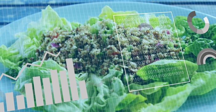 Cum ar trebui să ne schimbăm alimentația pe parcursul vieții?