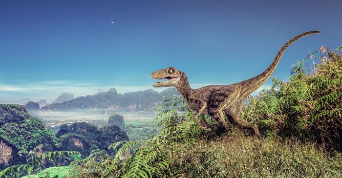 Nu erau dinozauri pitici, ci pui de dinozaur