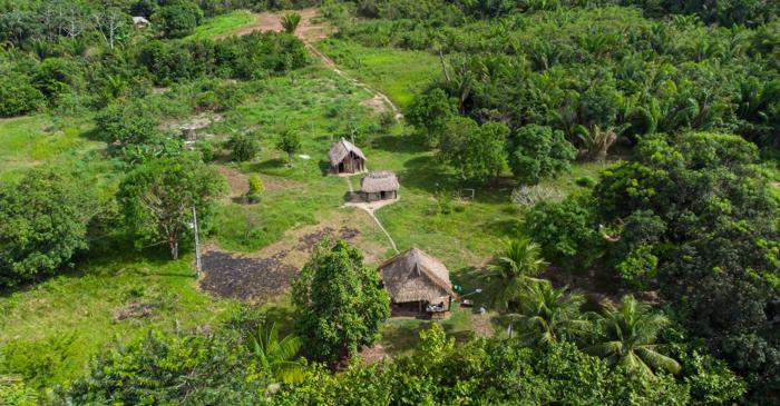 Sute de kilometri de drumuri antice descoperite în Amazon dezvăluie o civilizație complexă
