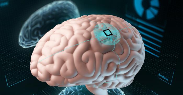 Un implant neuronal de mărimea unui bob de sare a monitorizat activitatea creierului timp de un an fără a-l leza