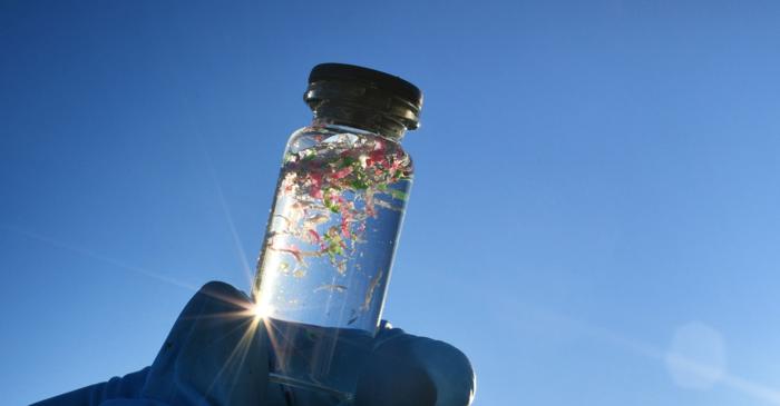 Cercetătoarea Susie Dai a creat o algă care captează microplasticul cu un ingredient surprinzător