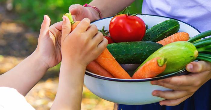 Cum ajunge alimentația mamei să dicteze gusturile copilului până la vârsta de trei ani?