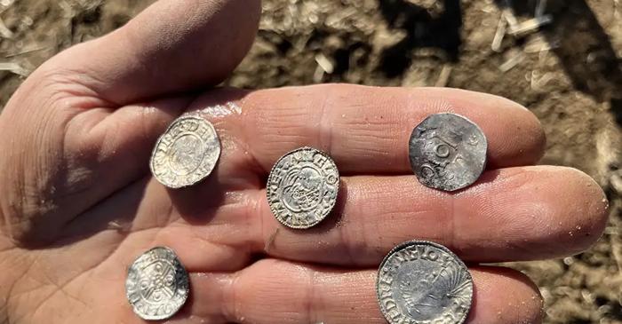 Doi căutători de metale au descoperit cel mai mare tezaur viking din Norvegia