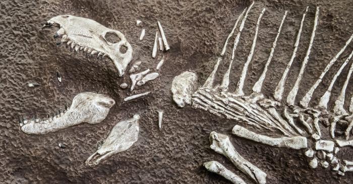 Marea Murire a eliminat 81% din specii cu 186 de milioane de ani înaintea dinozaurilor