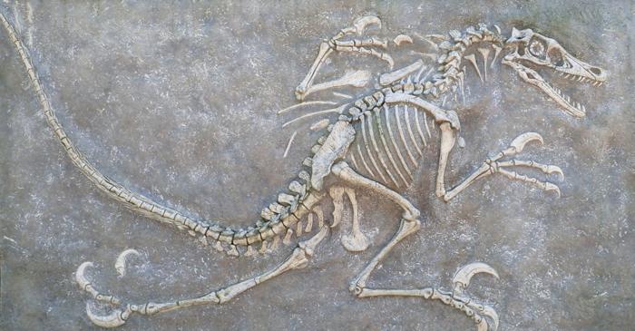 Un T. rex păstrează o rețea de vase de sânge antice