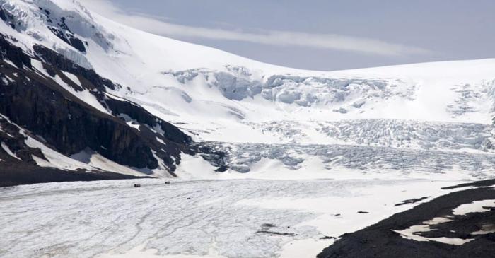 A apărut o oază de viață neașteptată în adâncurile Arcticii.