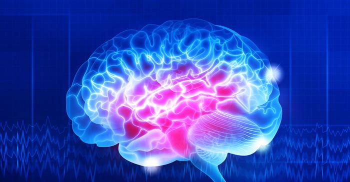 Acest circuit neuronal din creier poate fi ajustat pentru a opri simptomele de anxietate
