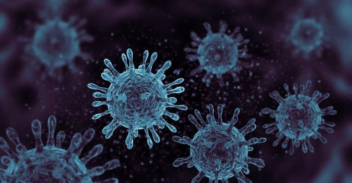 Acest virus gigantic din Japonia se înmulțește într-un mod complet neobișnuit