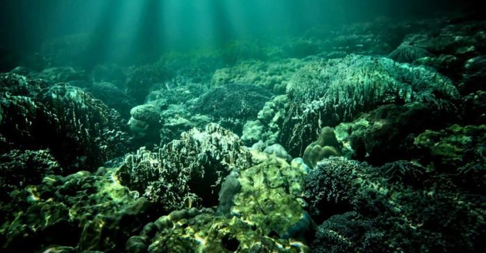 Analiza a 12.000 de microfosile răstoarnă teoria clasică despre primele ecosisteme ale planetei