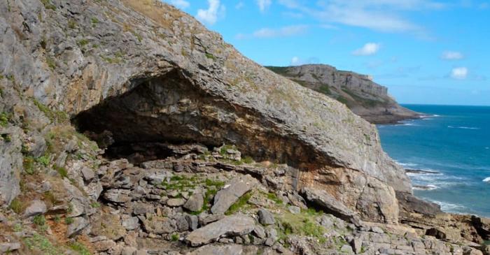 Care este povestea acestor 11 linii trasate acum 16.000 de ani în întuneric total?