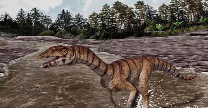Crocodilii au avut un strămoș cu brațe minuscule și cioc dur, fără niciun dinte