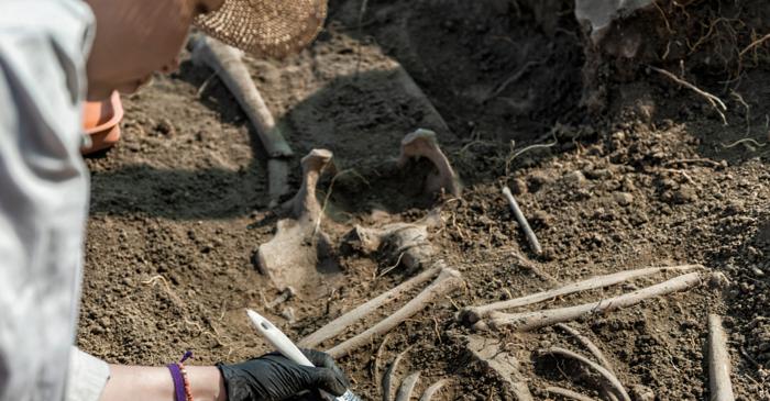 Doar un copil a rămas cu craniul intact printre 77 de schelete decapitate