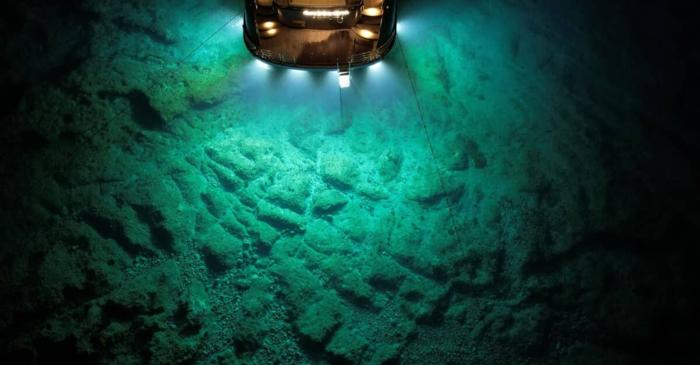 O specie de balenă complet necunoscută, identificată printre fosilele dintr-un abis al Oceanului Indian